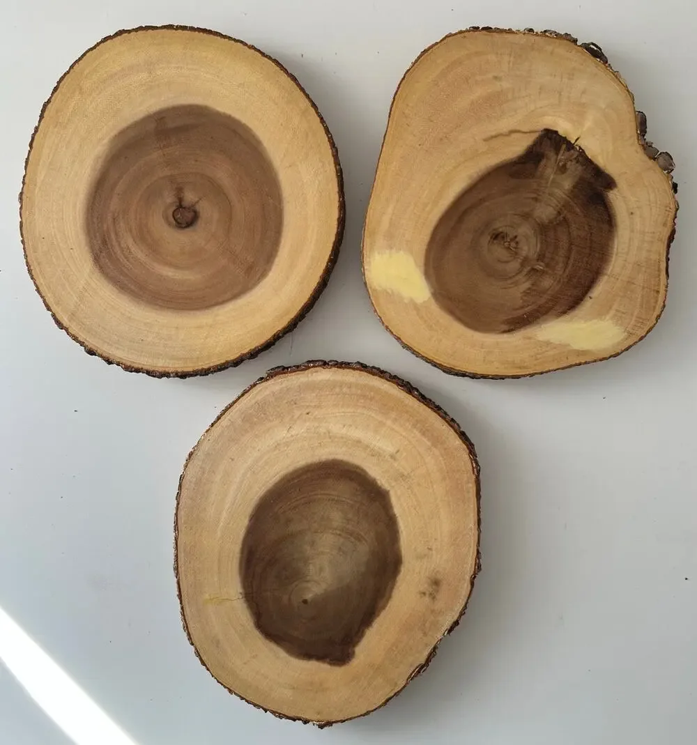 B. Smith Bark Edge Acacia Wood Platter Display Boards Set Of Three